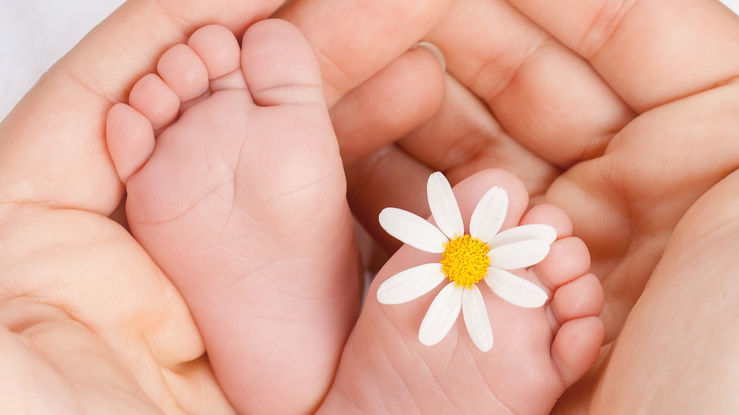 Babyklappen 